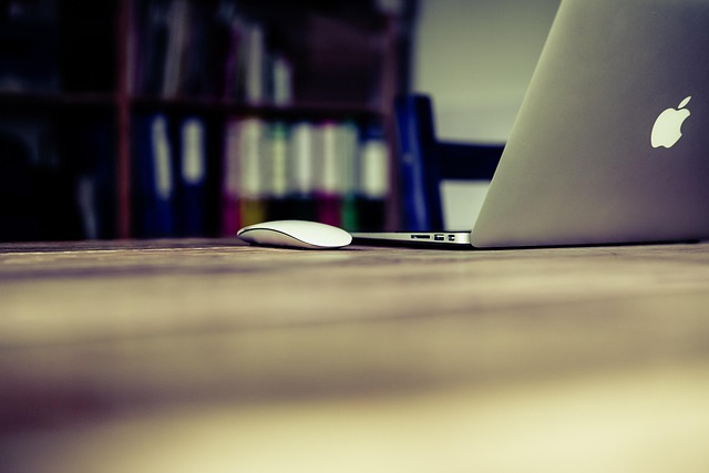 Freelancer pracuje na laptopie — praca zdalna i aktywność na LinkedIn latem